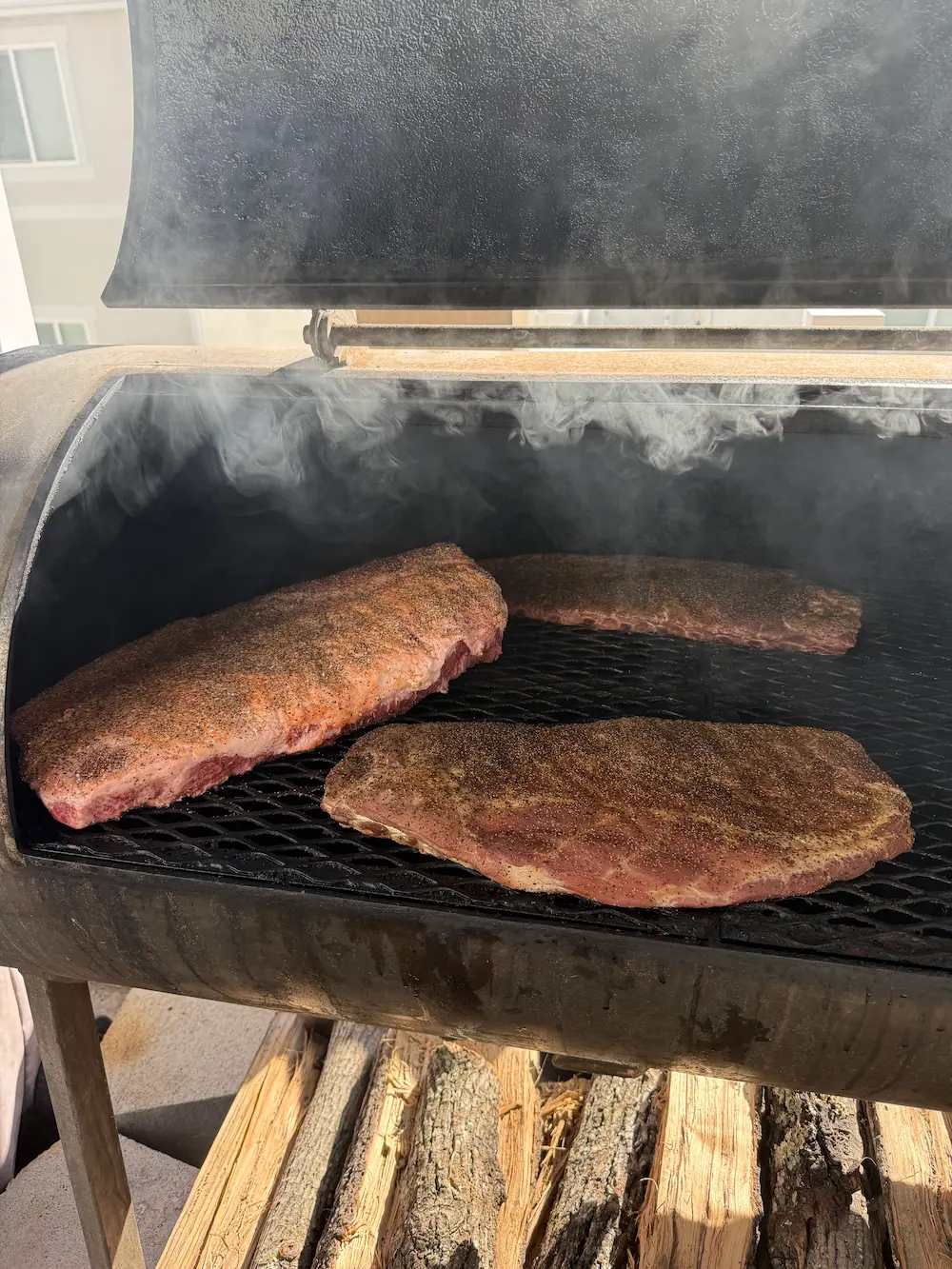 Brisket and ribs on pit